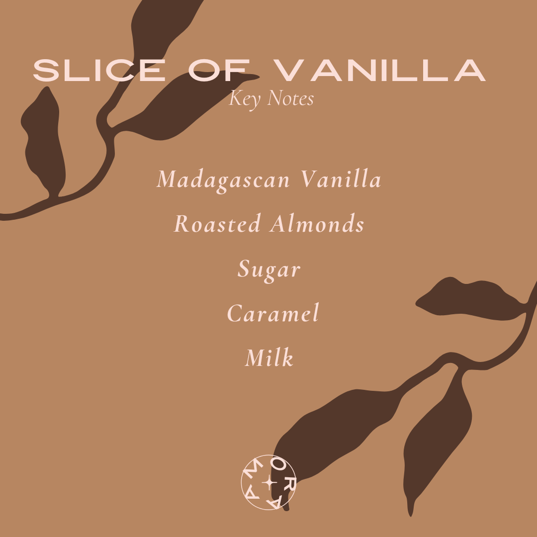 From Amora Vanilla Duo Box - 10ML Cookie Cloud & Slice of Vanilla with Gift Box