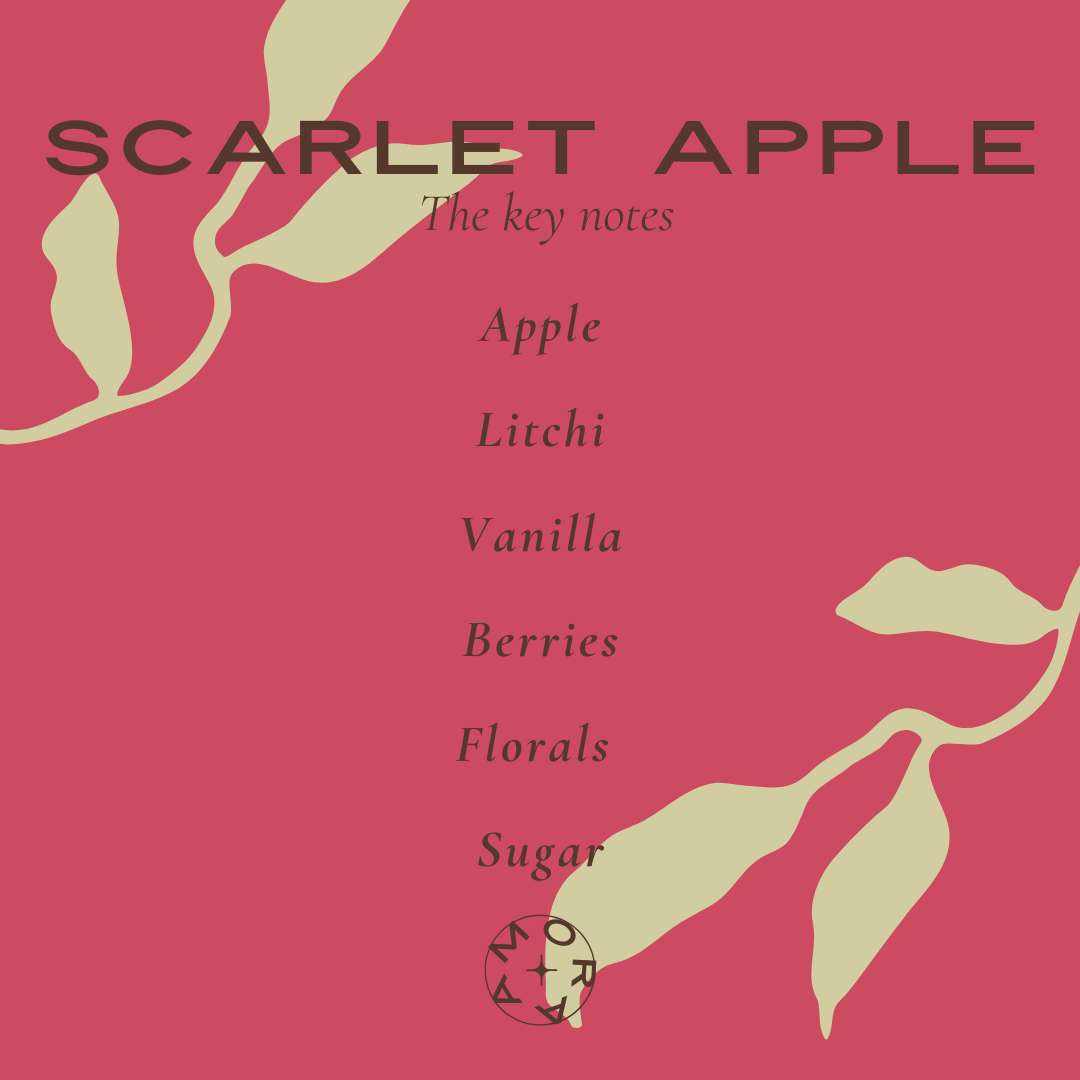 Scarlet Apple Concentrated Perfume Oil